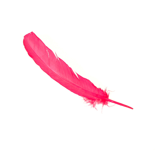 Feathers By Colour - Feathers